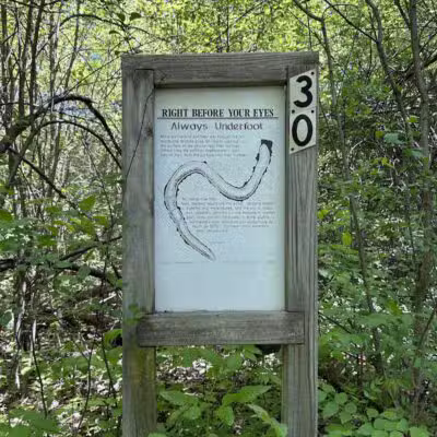 Hawk Woods Park and Campground - Auburn Hills,