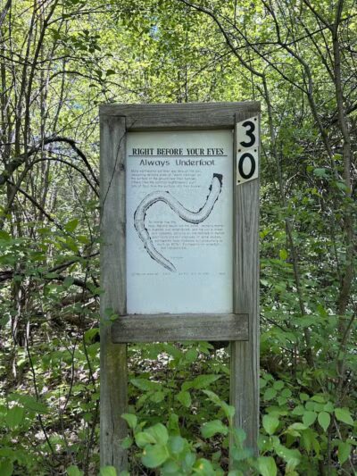 Hawk Woods Park and Campground - Auburn Hills,