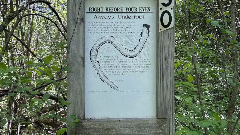 Hawk Woods Park and Campground - Auburn Hills,