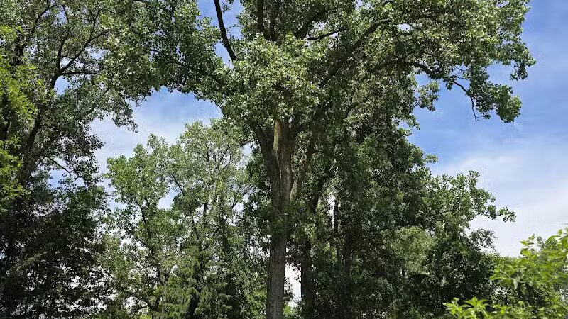 River Woods Park - Auburn Hills,