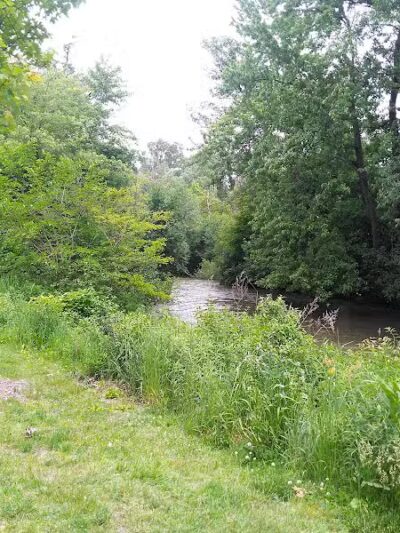 River Woods Park - Auburn Hills,