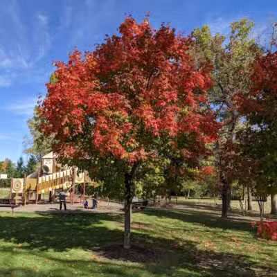 River Woods Park - Auburn Hills,