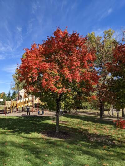 River Woods Park - Auburn Hills,