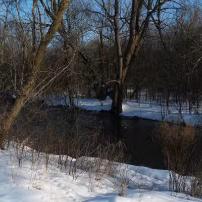 River Woods Park - Auburn Hills,