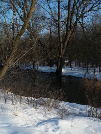 River Woods Park - Auburn Hills,