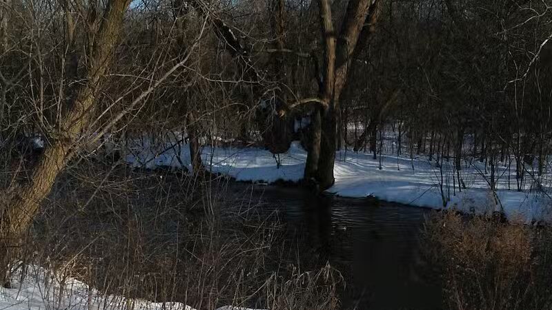 River Woods Park - Auburn Hills,