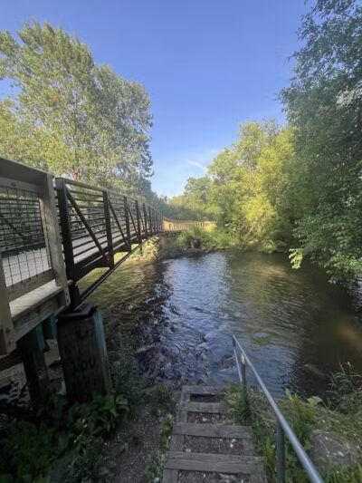 River Woods Park - Auburn Hills,