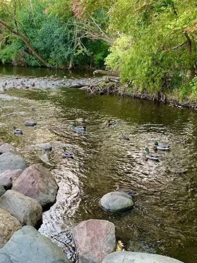 Riverside Park - Auburn Hills,