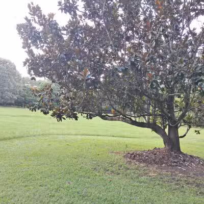 Kiesel Park - Auburn, AL