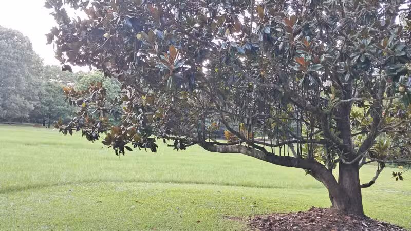Kiesel Park - Auburn, AL