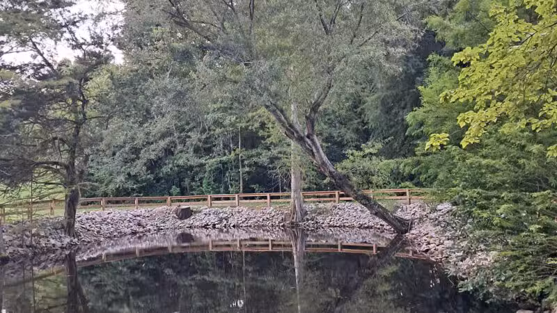 Kiesel Park - Auburn, AL