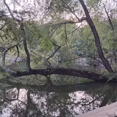 Kiesel Park - Auburn, AL