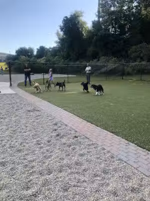 Town of Auburn Dog Park - Auburn, MA