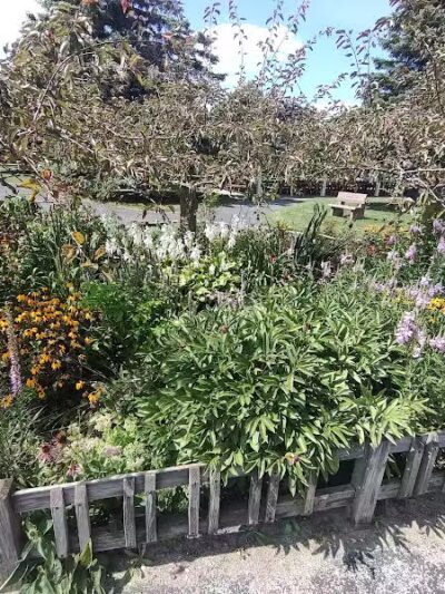 Williams Township Park - Auburn, MI