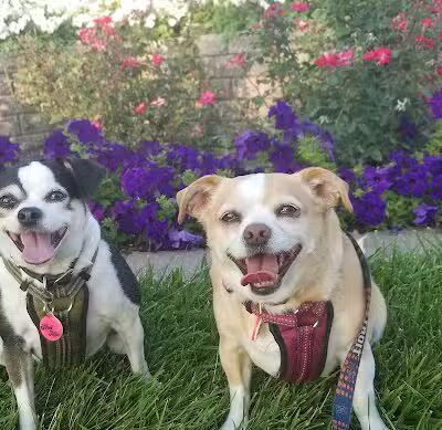 Williams Township Park - Auburn, MI