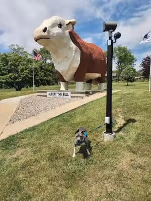 Albert the Bull Park: World's Largest Bull - Audubon, IA