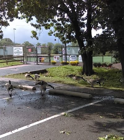 Green Wave Park - Audubon, NJ