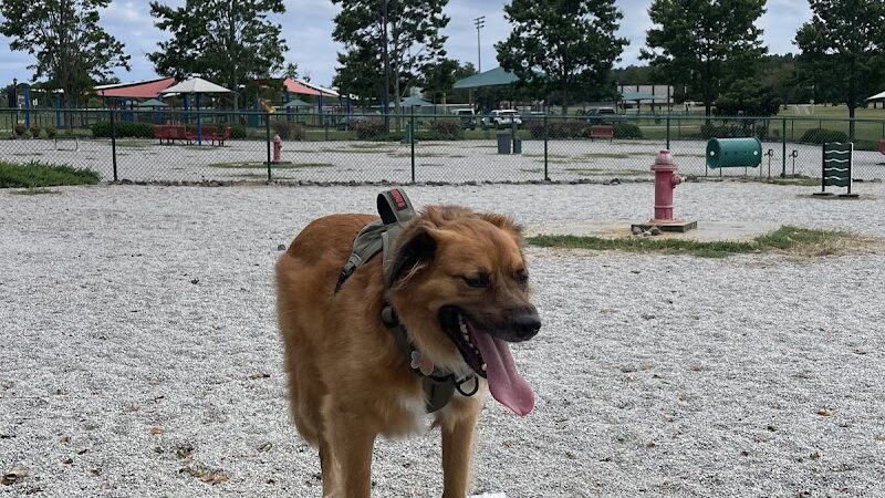 Fort Gordon Dog Park - Augusta, GA