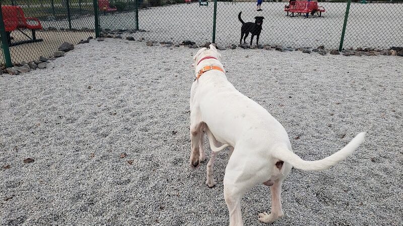 Fort Gordon Dog Park - Augusta, GA