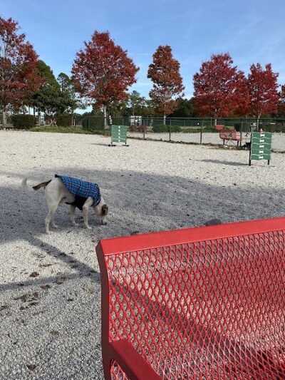 Fort Gordon Dog Park - Augusta, GA