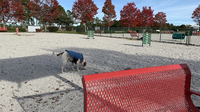 Fort Gordon Dog Park - Augusta, GA