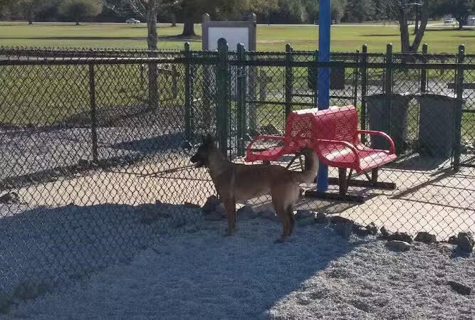 Fort Gordon Dog Park - Augusta, GA