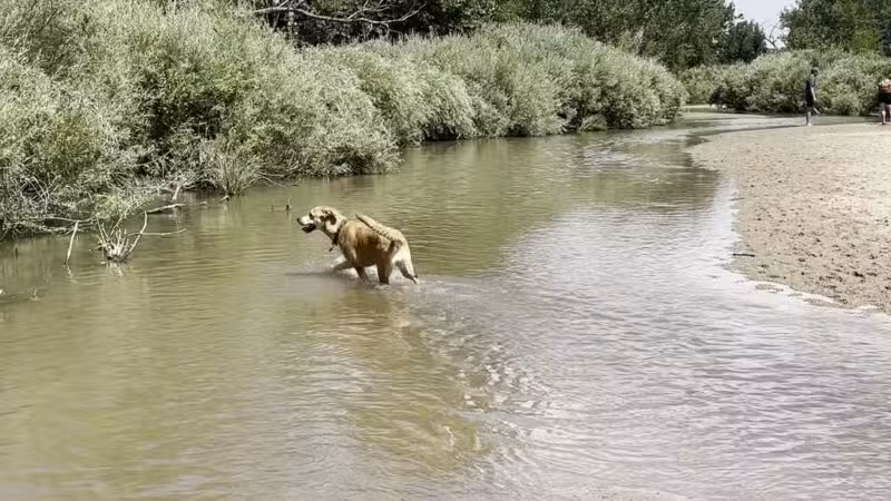 Cherry Creek ​Dog Of​f Leash Area (DOLA) - Aurora, CO