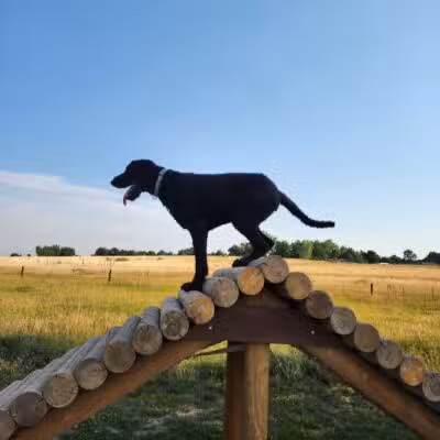 Cherry Creek ​Dog Of​f Leash Area (DOLA) - Aurora, CO