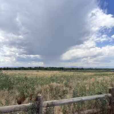 Cherry Creek ​Dog Of​f Leash Area (DOLA) - Aurora, CO