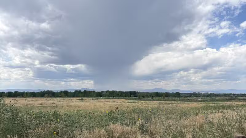 Cherry Creek ​Dog Of​f Leash Area (DOLA) - Aurora, CO