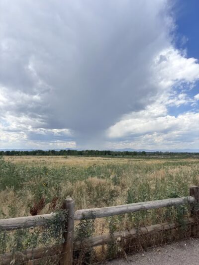 Cherry Creek ​Dog Of​f Leash Area (DOLA) - Aurora, CO