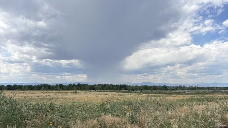 Cherry Creek Dog Off Leash Area (DOLA) - Aurora, CO