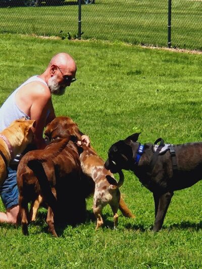 Austin Dog Park - Austin, MN