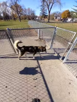 Austin Dog Park - Austin, MN