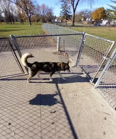 Austin Dog Park - Austin, MN