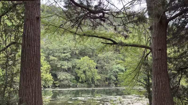 Red Bud Isle - Austin, TX