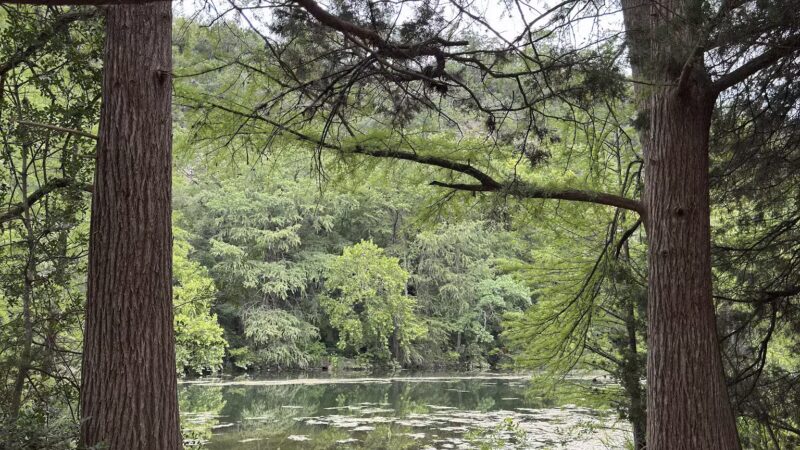 Red Bud Isle - Austin, TX