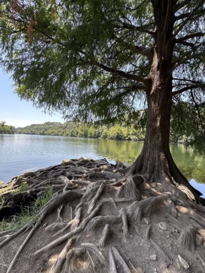 Red Bud Isle - Austin, TX