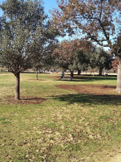Auditorium Shores Dog Park - Austin, TX