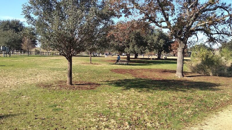 Auditorium Shores Dog Park - Austin, TX