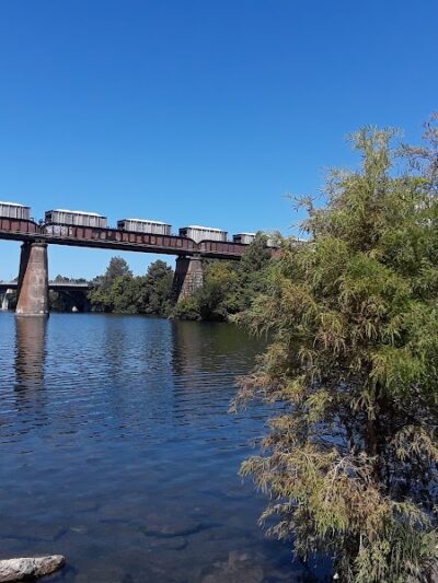 Auditorium Shores Dog Park - Austin, TX