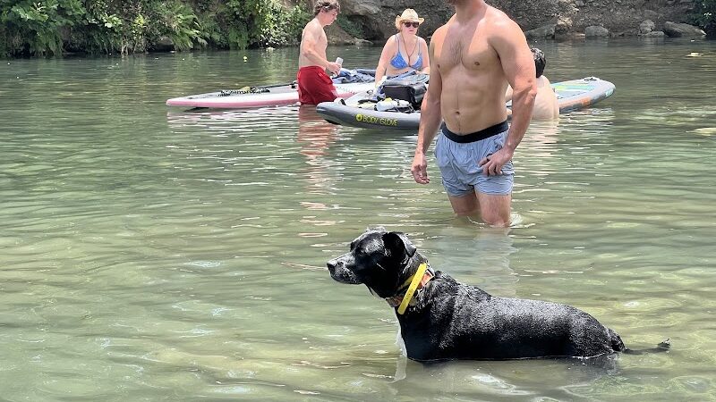 Dog Barton Springs - Austin, TX