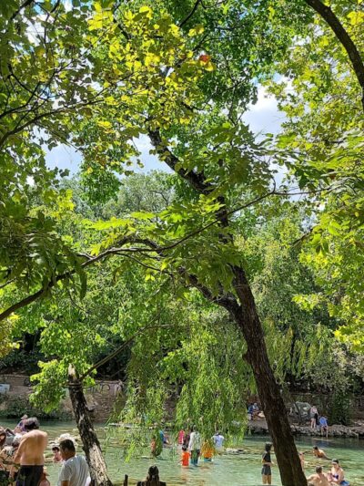 Dog Barton Springs - Austin, TX