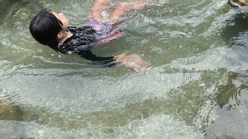 Dog Barton Springs - Austin, TX