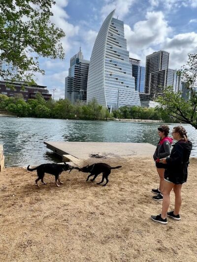 Dog Launch at Vic Mathias Shores - Austin, TX