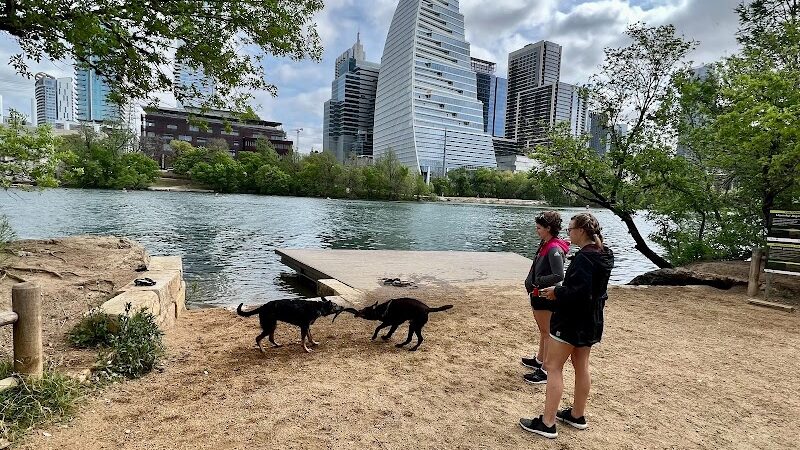 Dog Launch at Vic Mathias Shores - Austin, TX