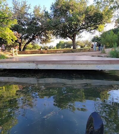 Dog Launch at Vic Mathias Shores - Austin, TX