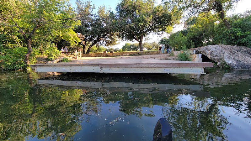Dog Launch at Vic Mathias Shores - Austin, TX