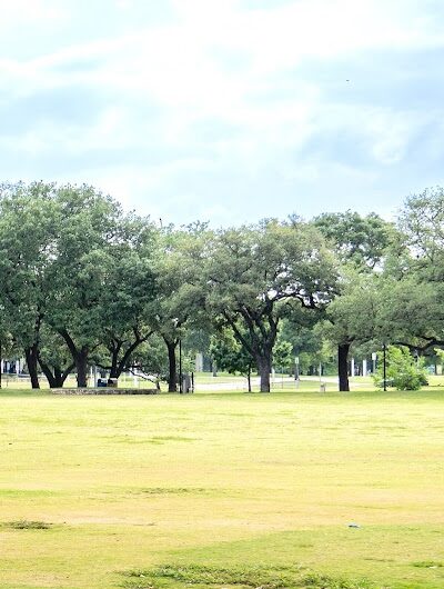 Dog Launch at Vic Mathias Shores - Austin, TX