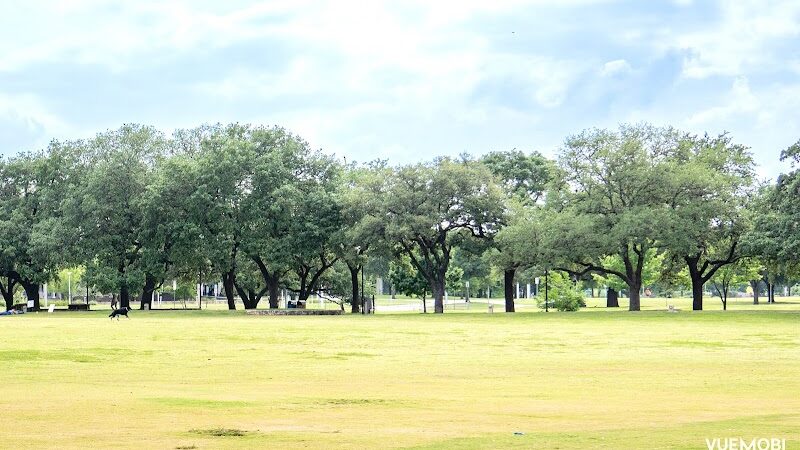 Dog Launch at Vic Mathias Shores - Austin, TX